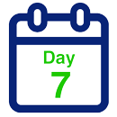 Day 7